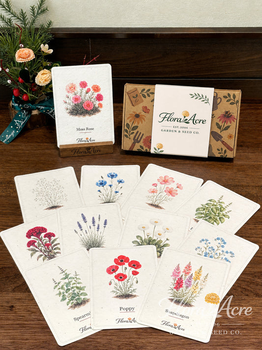 ✨Labor Day Pre-Sale 45% OFF🌱Eco-Friendly  Plantable Seed Cards