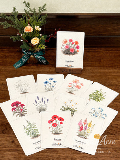 ✨Labor Day Pre-Sale 45% OFF🌱Eco-Friendly  Plantable Seed Cards