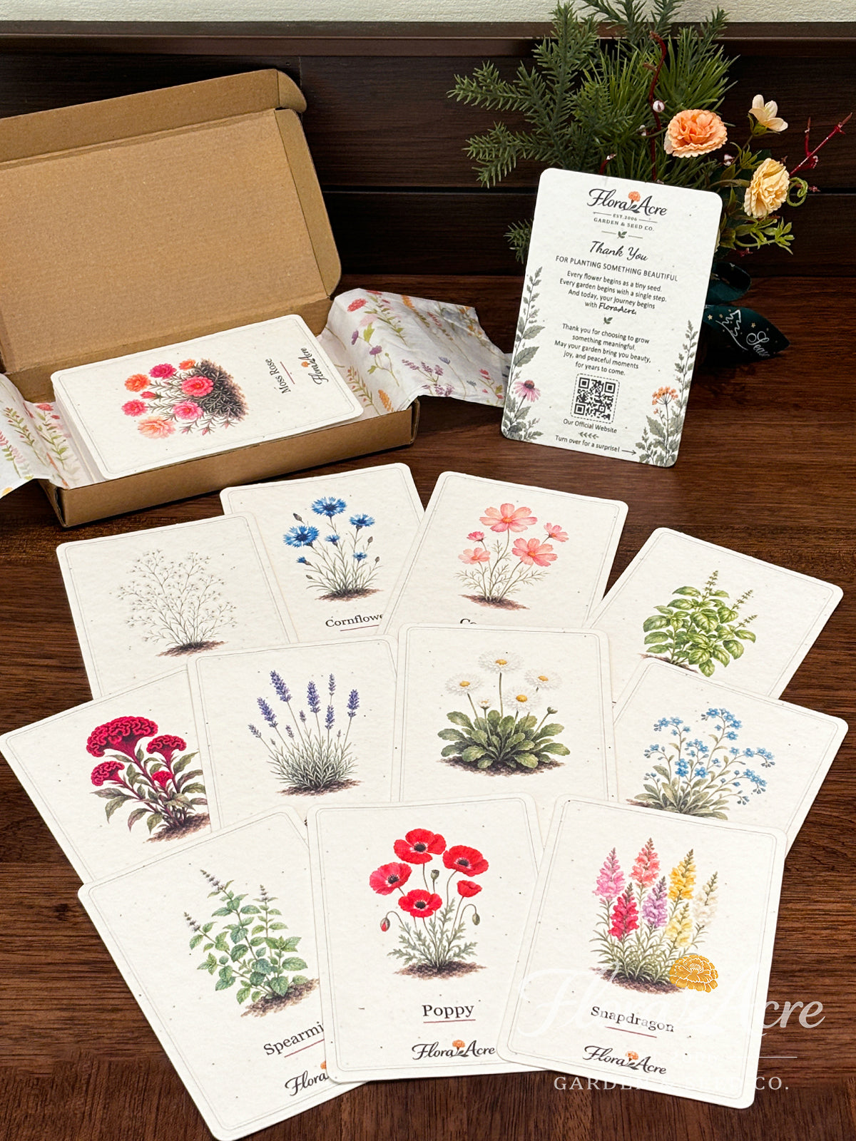 ✨Labor Day Pre-Sale 45% OFF🌱Eco-Friendly  Plantable Seed Cards