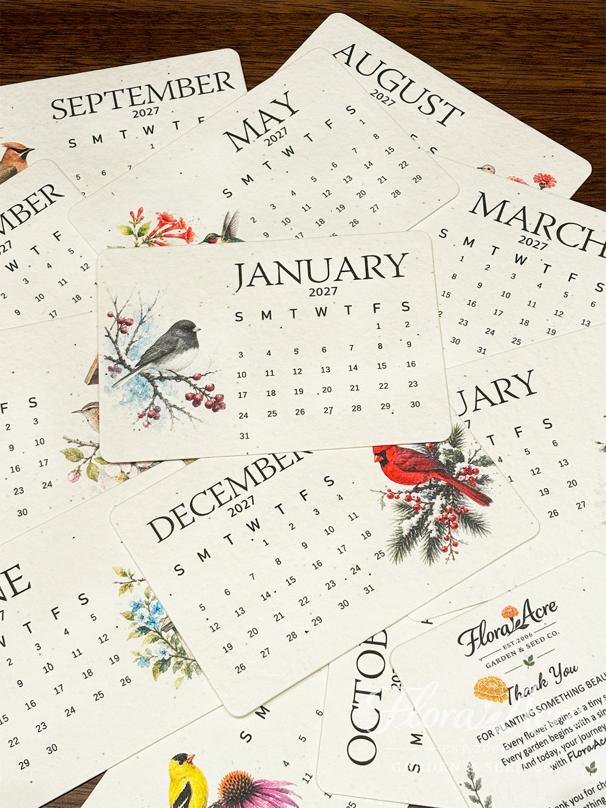 ✨Labor Day Pre-Sale 45% OFF🌱Eco-Friendly Plantable Songbird Seed Calendar 2027
