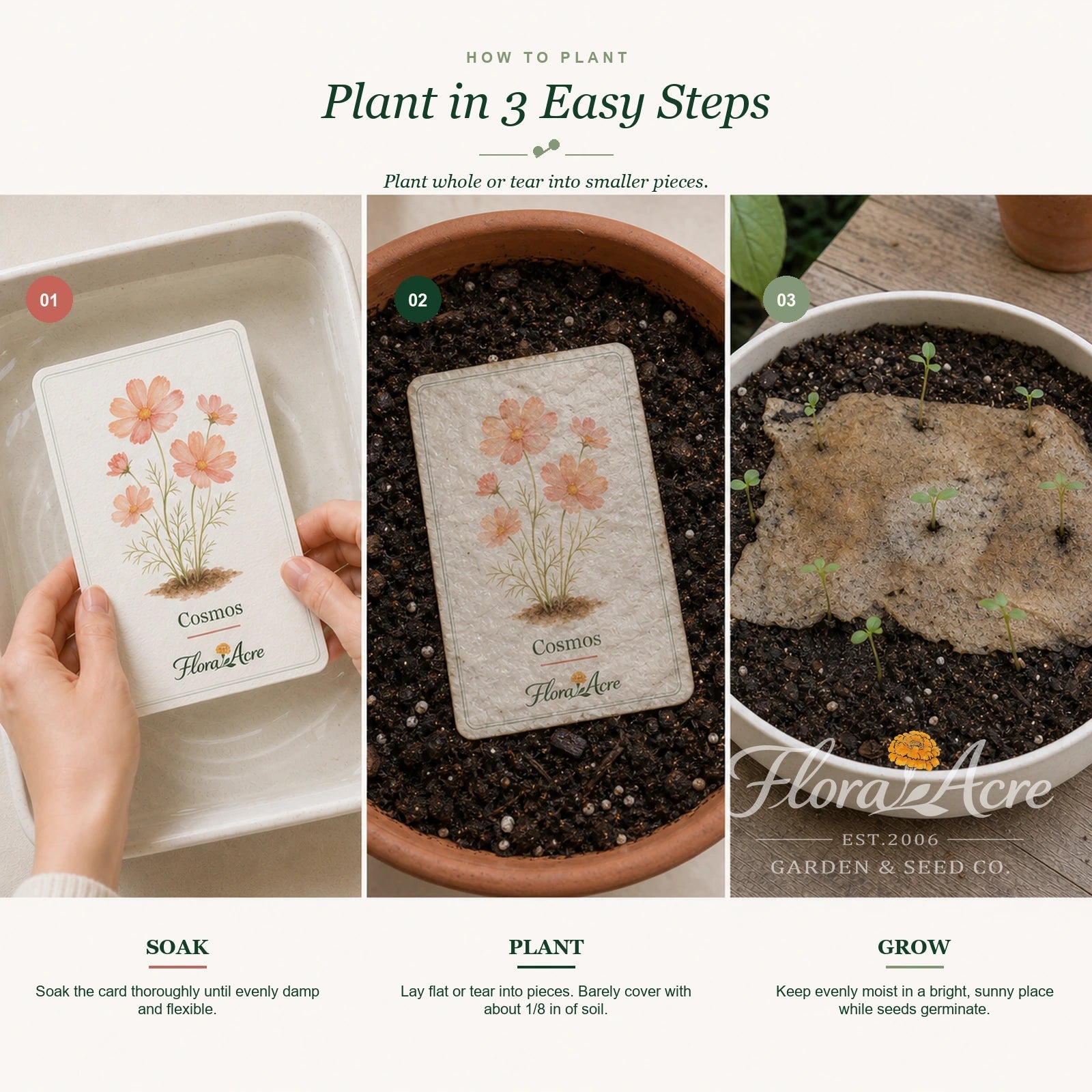 Flora Acre — 12 Plantable Seed Cards - Flora Acre